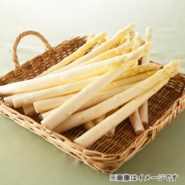会津産！ ホワイトアスパラガス ２Ｌ～３Ｌサイズ （新物）
