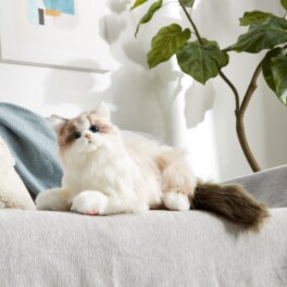 ペットのように 鳴いて応えてくれる なでなでねこちゃんＥＸ
