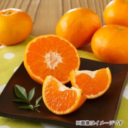 厳選みかん 太陽の雫(小玉サイズ)