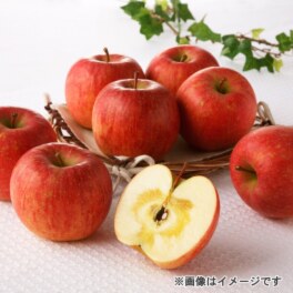 山形県朝日町産 サンふじりんご