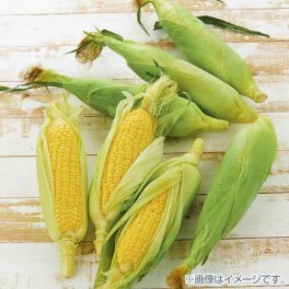 愛知県産フルーツコーン “サニーショコラ”